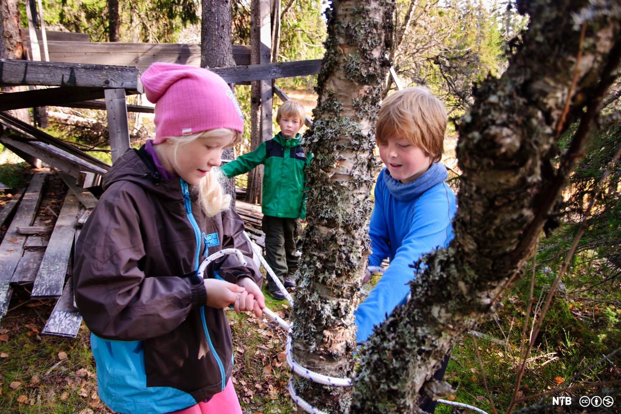 Level 3 Paediatric & Forest School First Aid